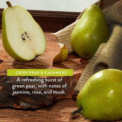 Native Limited Edition Fall Getaway Body Wash - Crisp Pear & Cashmere - 18 fl oz: Sulfate-Free, For Sensitive Skin