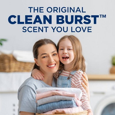 Arm & Hammer Clean Burst Liquid Laundry Detergents 205 Loads - 205 fl oz
