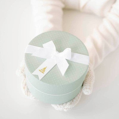 Small Round Box White Dot on Mint - Sugar Paper + Target