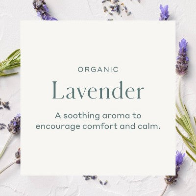 Organic Essential Oil Lavender - Casaluna