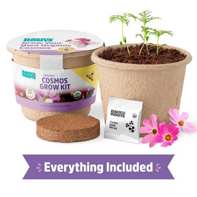 Back to the Roots Organic Cosmos Flower Grow Kit with Plantable Starting Pot Soil and Seeds
