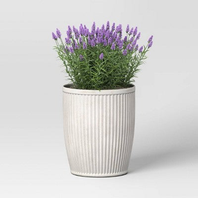 Weathered Ribbed Composite Indoor Outdoor Planter Pot 15"x15"x18" Off-White - Threshold designed with Studio McGee