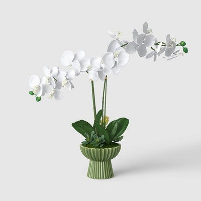 22" Elevated Orchid Plant - Threshold (LOCAL PICKUP ONLY)