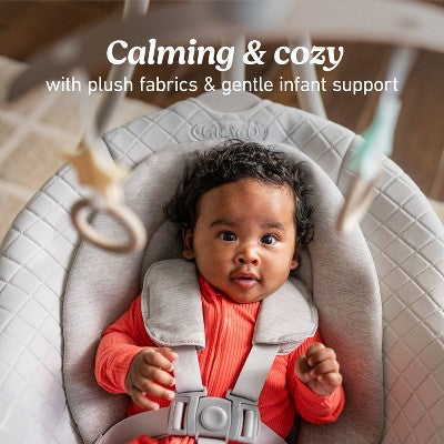 Graco DuetConnect LX Baby Swing - Wales (LOCAL PICKUP ONLY)