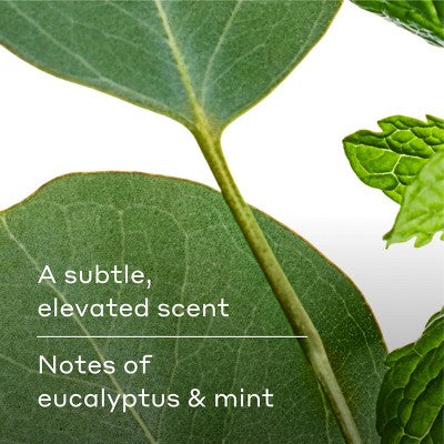 Harry's Men's 2 in 1 Shampoo and Conditioner - Aspen - 14 fl oz