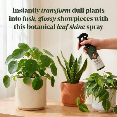 WE THE WILD Protect Spray Organic Botanical Leaf Shine & Care For Houseplants 8.5 fl oz