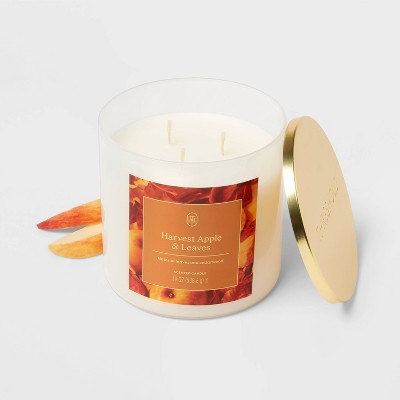 3 Wick Lidded Harvest Apple and Leaves Jar Candle 19oz - Threshold