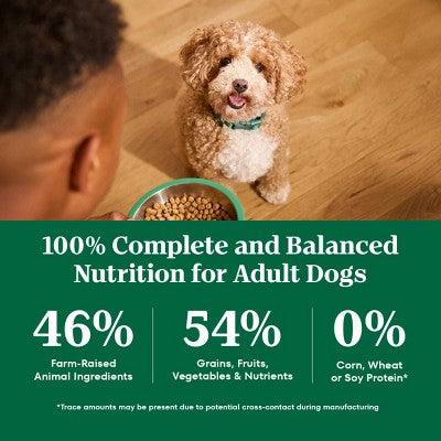 Nutro Wholesome Nutrition Natural Choice Essentials Chicken, Vegetable and Rice Flavor Small Breed Adult Dry Dog Food - 5lbs