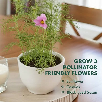 Garden Republic Mini Pollinator Garden Kit