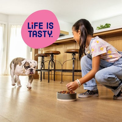 Kibbles 'n Bits Mini Bits Savory Beef & Chicken Flavors Small Breed Complete & Balanced Dry Dog Food - 3.5lbs