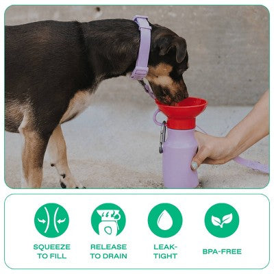 Springland 15 fl oz Mini Travel Dog Water Bottle - Lilac/Red