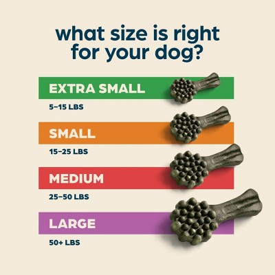 Chewsday Mint Flavor Dental and Hard Chew with Enzyme Dog Treats - 6.55oz/7ct