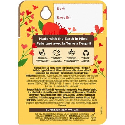 Burt's Bees Lip Balm + Tinted Lip Balm Duo - 2ct