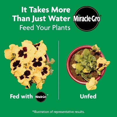 Miracle-Gro 32oz Liquid All Purpose Plant Food Concentrate