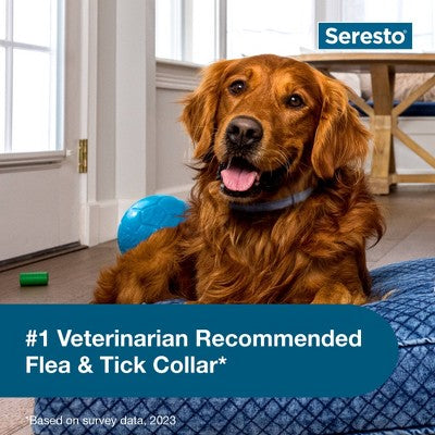 Seresto Flea & Tick Dog Insect Prevention Collar - L