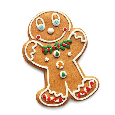 Christmas Gingerbread Cookie Kit - 7.5oz/4ct - Favorite Day