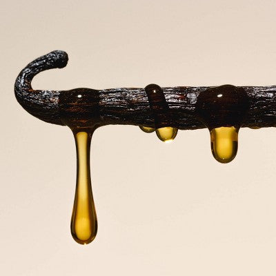 Saltair Nourishing Body Oil for Dewy and Glowing Skin - Salt Water Vanilla - 4 fl oz: Glass Bottle, Normal to Dry Skin