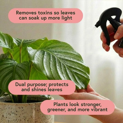 WE THE WILD Protect Spray Organic Botanical Leaf Shine & Care For Houseplants 8.5 fl oz