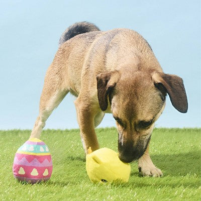 BARK Easter Chickie Poo Dog Animal Ball Toy - 2pc