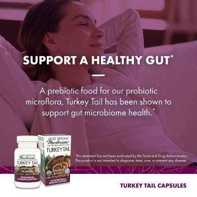 Host Defense Turkey Tail Mushroom Vegan Capsules - 30ct: Organic, Non-GMO, Dietary Supplements