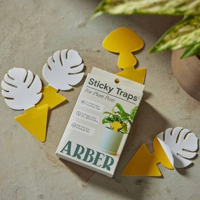 Arber 16pk Houseplant Sticky Insect Traps