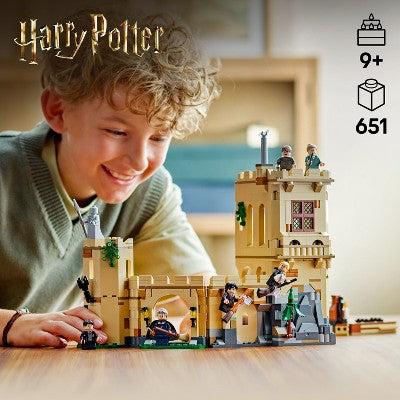 LEGO Harry Potter Hogwarts Castle Flying Lessons, Wizard Building Toy 76447