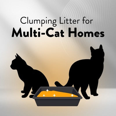 Arm & Hammer Hardball Cat Litter - 10.5lbs