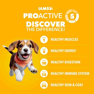 IAMS Proactive Health Chicken and Whole Grains Flavor Puppy Dry Dog Food - 7lbs
