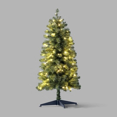 4' Alberta Spruce LED Pre-Lit Artificial Christmas Tree Bicolor Concave Lights with Twinkle - Wondershop (LOCAL PICKUP ONLY)