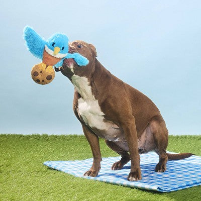 BARK Spring Picnic in the Bark Robbin' Robin Dog Animal Plush Toy