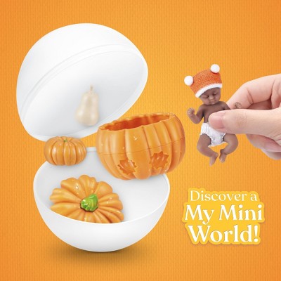 My Mini Pumpkin Patch