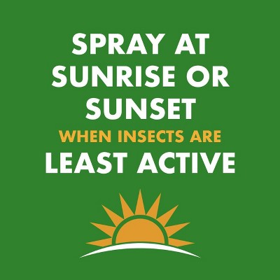 Spectracide 2pk Wasp and Hornet Insecticide - 2ct/18.5oz each