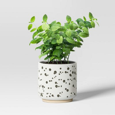 Splatter Stoneware Indoor Outdoor Planter Pot Moss Green 6"x6" - Threshold