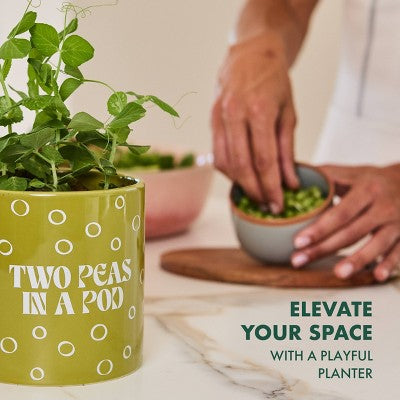 Garden Republic "Two Peas in a Pod" Snap Pea Grow Kit