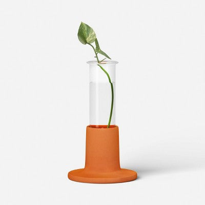 Terrarium Glass Terracotta Small Base - Threshold