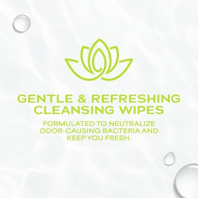 WaterWipes Refreshing Feminine, On-The-Go, pH Friendly for Daily Intimate Care, Odor Removal, Gynecologist Approved, Fragrance Free Wipes - 28ct