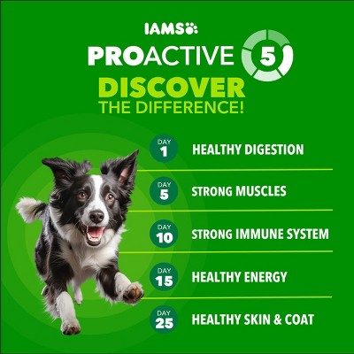 IAMS Proactive Health High Protein Plus Chicken and Beef Adult Dry Dog Food - 5lbs