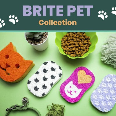 Scotch-Brite Doggone Tidy Dog Sponge