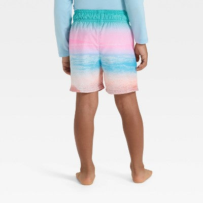Toddler Boys' Scenic Beach Swim Shorts -Cat & Jack Pink/Blue 4T