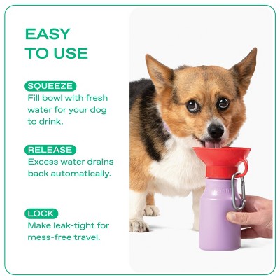 Springland 15 fl oz Mini Travel Dog Water Bottle - Lilac/Red