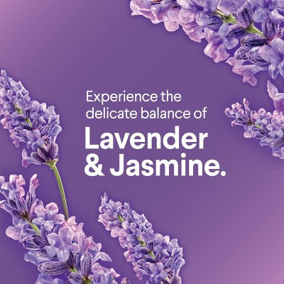 Clorox Scentiva Lavender & Jasmine ToiletWand Pad Cleaner Refills - 10ct