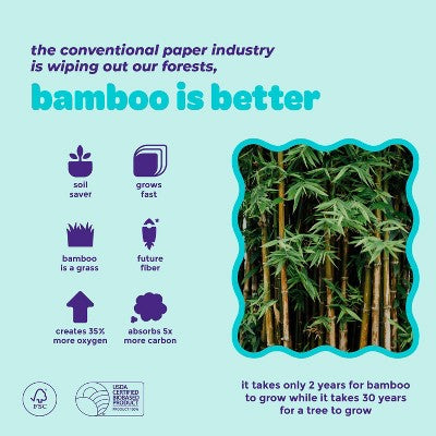 Bim Bam Boo Bamboo Facial Tissue - 4pk/60ct