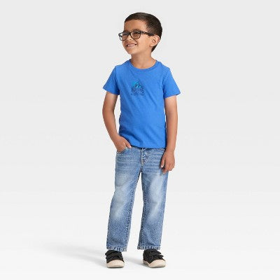 Toddler Boys' Short Sleeve Mountains Graphic T-Shirt  5T