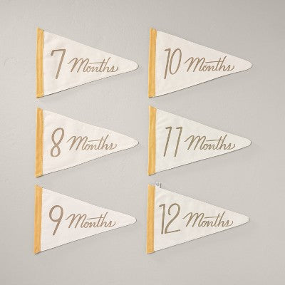 Newborn Milestone Pennants 6pc - Hearth & Hand with Magnolia