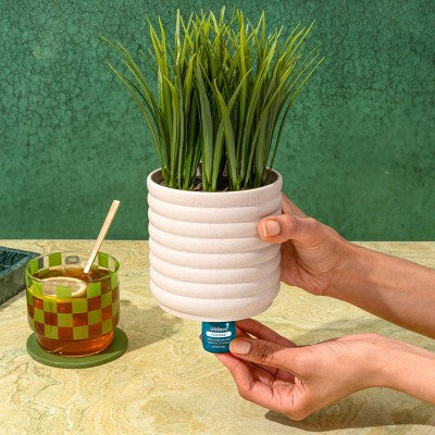 Lifelines Crisp Mountain Air Essential Oil Clickwick