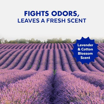 Lysol Lavender Liquid Toilet Bowl Cleaner - 48 fl oz/2ct