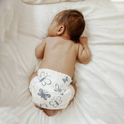 Parasol Clear+Dry Natural Disposable Diapers - Size 1 - 88ct