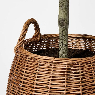 Bay Leaf Tree in Basket - Threshold designed with Studio McGee (LOCAL PICKUP ONLY)