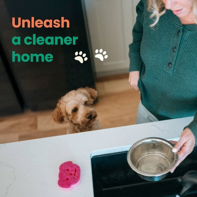 Scotch-Brite Doggone Tidy Dog Sponge