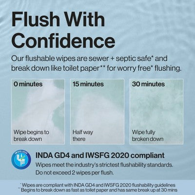 The Honest Company Flushable Wipes - Tropical Leaves - 126ct